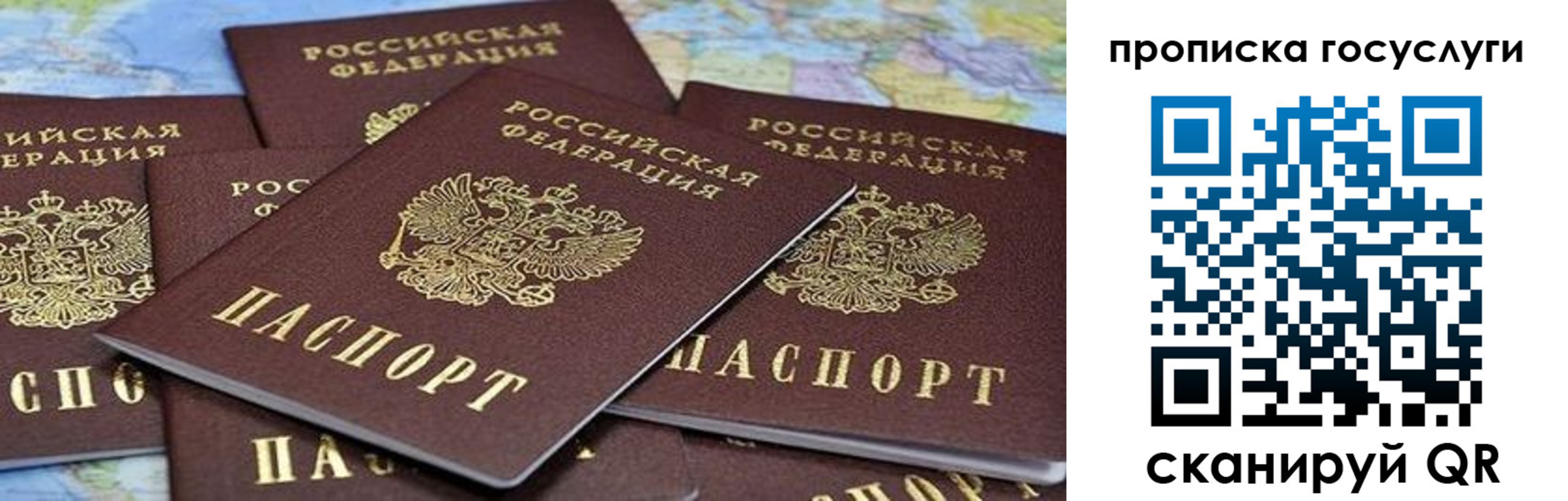 пропишу в квартире в Краснозаводске